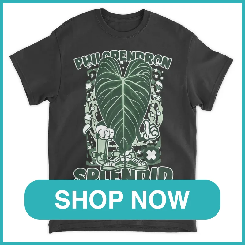 Cool Philodendron Splendid Shirt monsteraholic