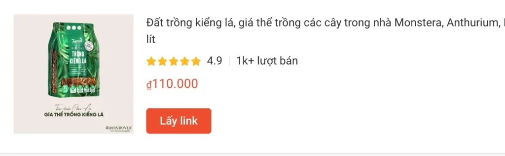 Cách thay chậu và giá thể tốt nhất cho Monstera (và các loại kiểng lá) 3 Dat trong kieng la gia the trong cac cay trong nha Monstera Anthurium Bang Singapore tui 7 lit | Monsteraholic