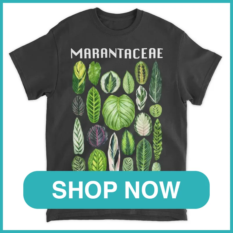 Marantaceae Species Shirt monsteraholic