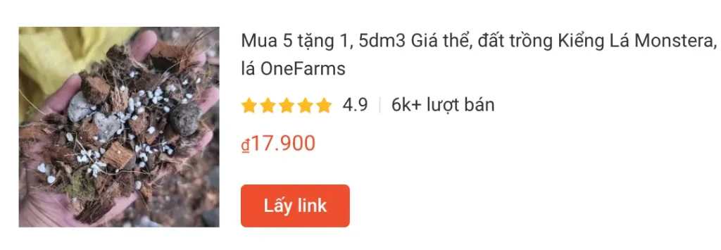Cách thay chậu và giá thể tốt nhất cho Monstera (và các loại kiểng lá) 2 Mua 5 tang 1 5dm3 Gia the dat trong Kieng La Monstera | Monsteraholic