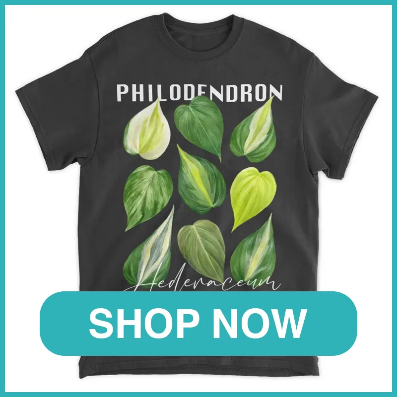 Philodendron Hederaceum Varieties Shirt monsteraholic