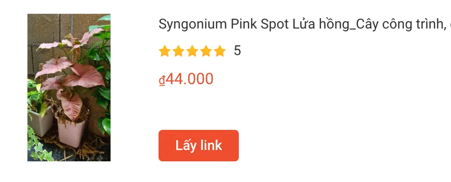 Những điều có thể bạn chưa biết về Syngonium Pink Spot 1 Syngonium Pink Spot Lua hong Cay cong trinh | Monsteraholic