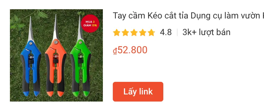 Tại sao cây Monstera của bạn bị vàng lá? Cách cắt tỉa nó như thế nào? 1 Tay cam Keo cat tia Dung cu lam vuon | Monsteraholic