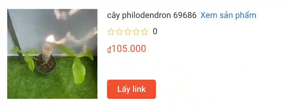 Những điều có thể bạn chưa biết về Philodendron 69686 1 cay philodendron 69686 | Monsteraholic