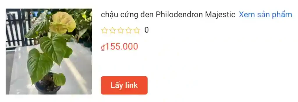 Những điều có thể bạn chưa biết về Philodendron Majestic 1 chau cung den Philodendron Majestic | Monsteraholic