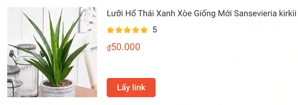 Luoi Ho Thai Xanh Xoe Giong Moi Sansevieria kirkii | Monsteraholic