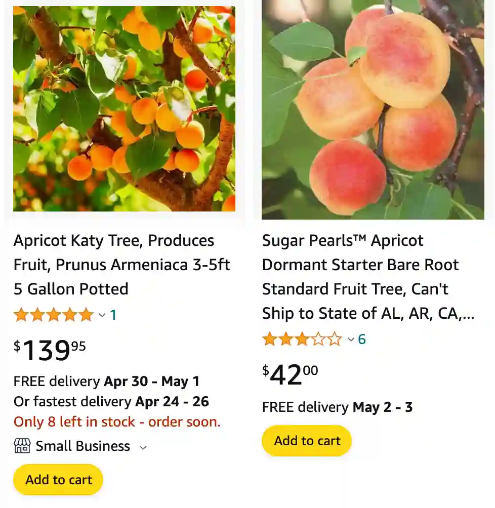 Apricot Tree | Monsteraholic