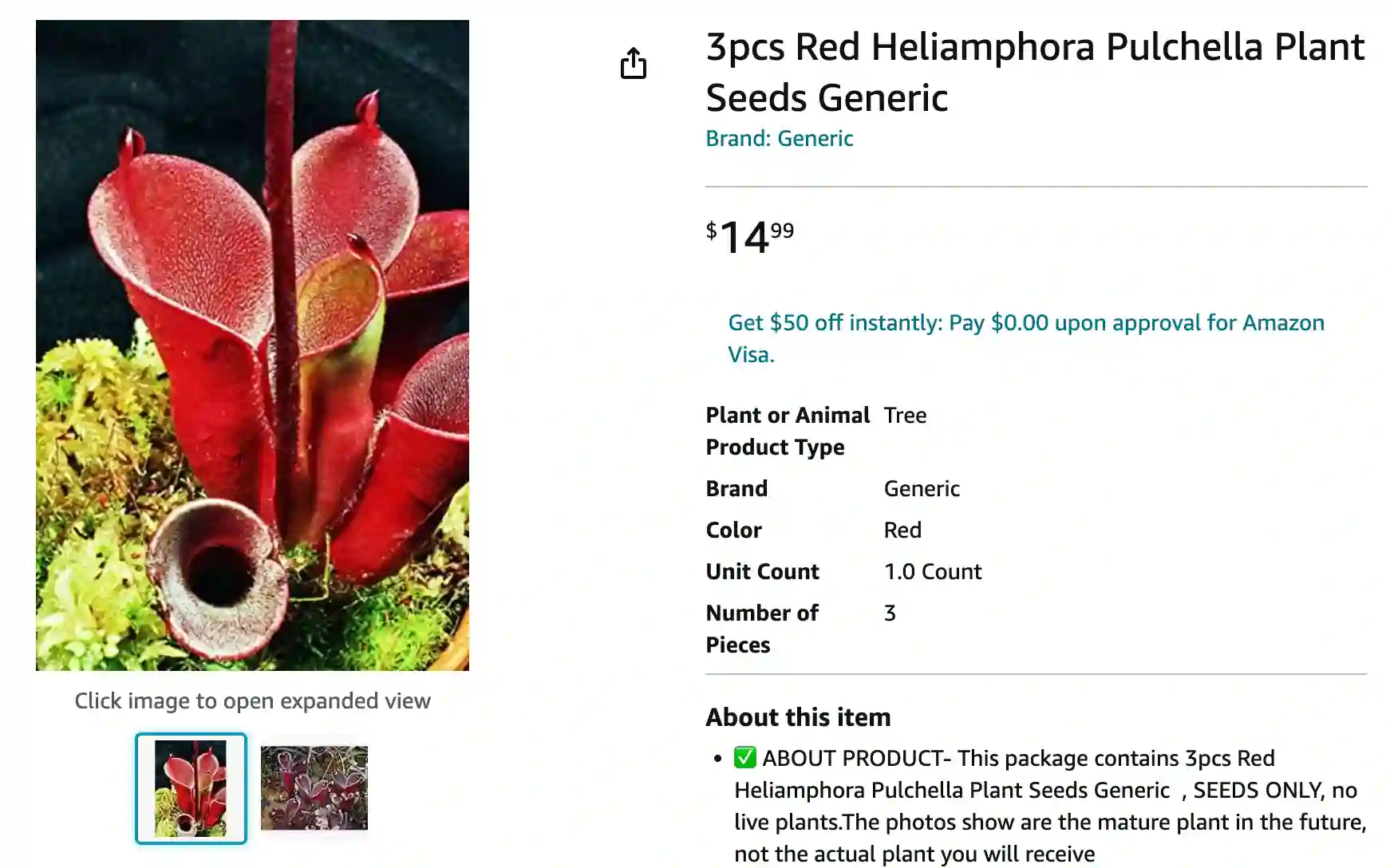 Heliamphora Pulchella | Monsteraholic