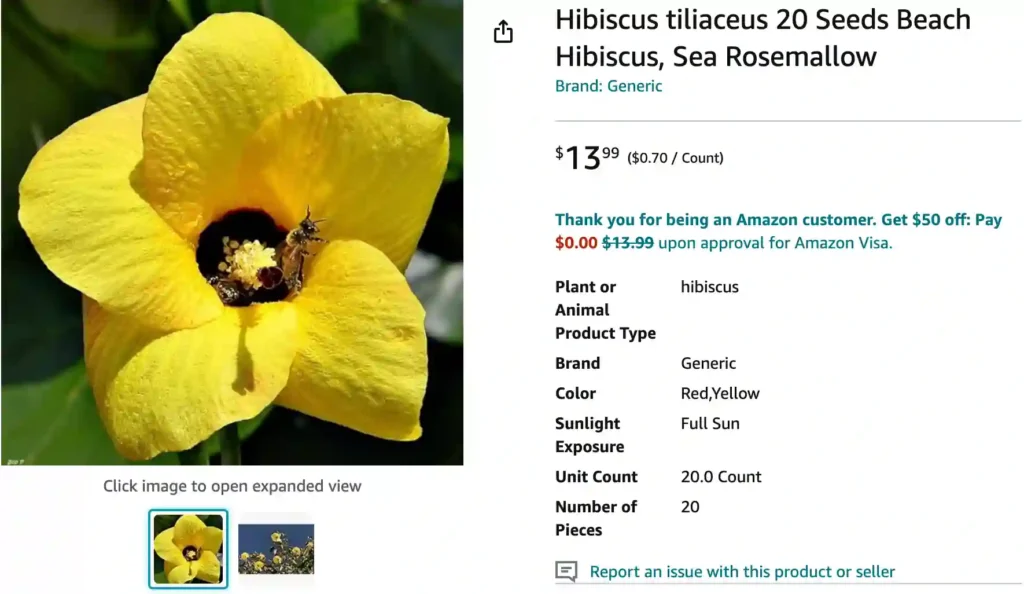 Hibiscus Tiliaceus | Monsteraholic