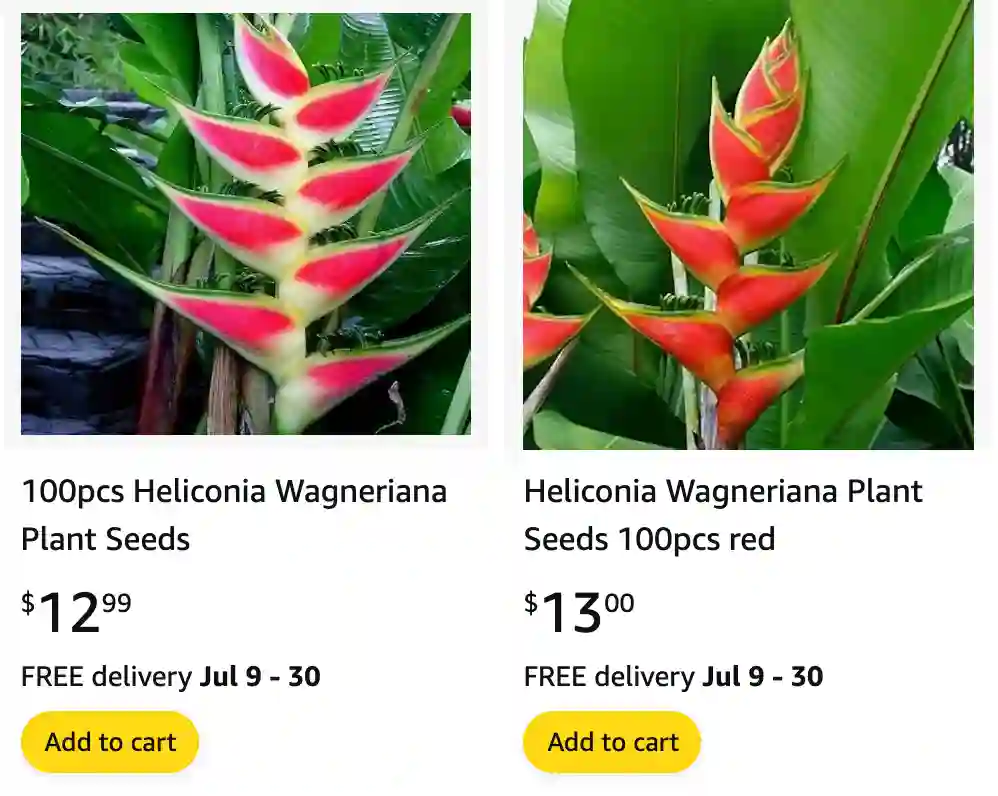 Heliconia Wagneriana | Monsteraholic