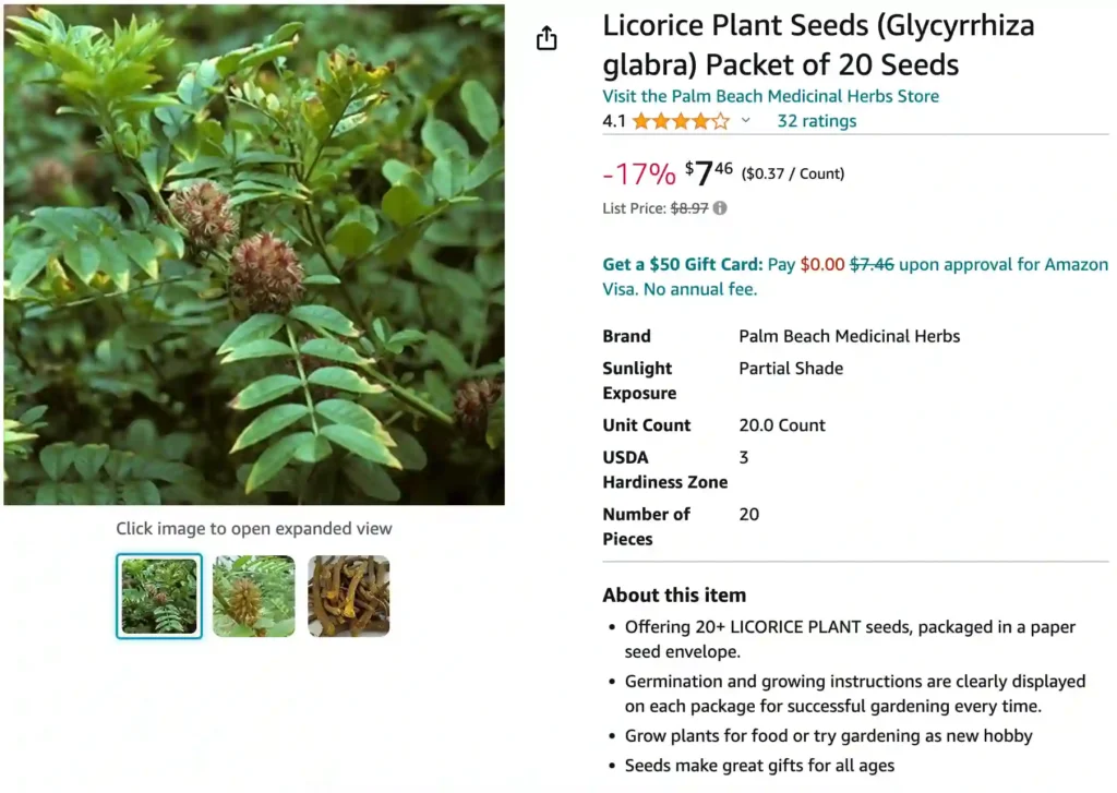 Licorice Fern | Monsteraholic