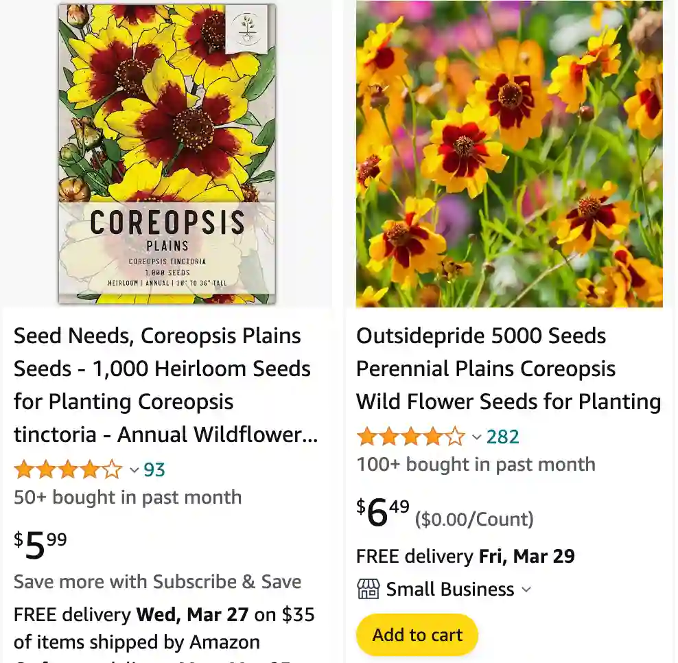 Plains Coreopsis | Monsteraholic