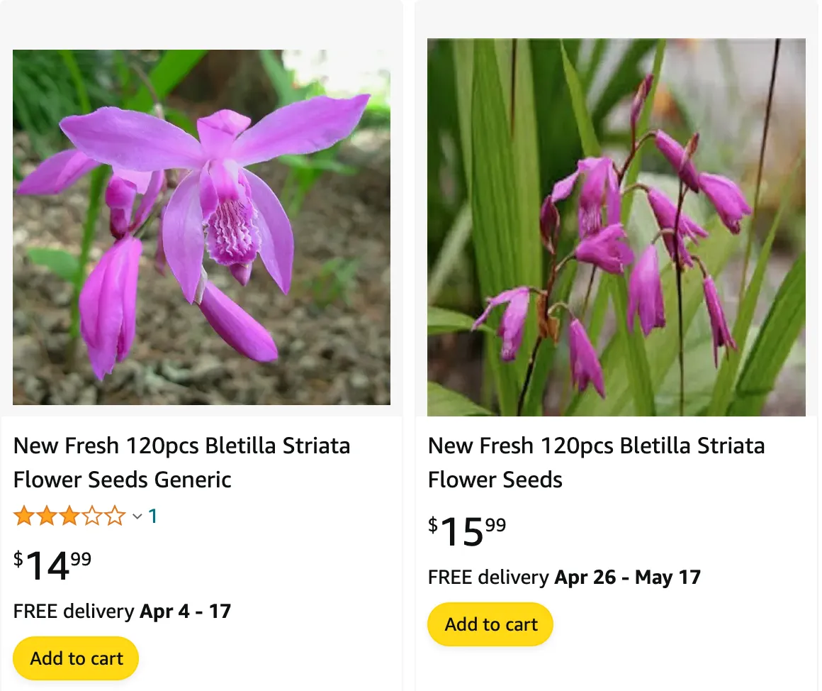 Bletilla Striata | Monsteraholic