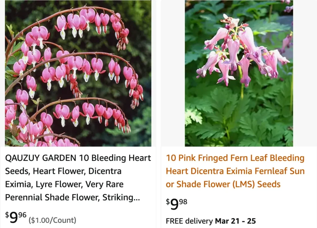 Dicentra Eximia | Monsteraholic