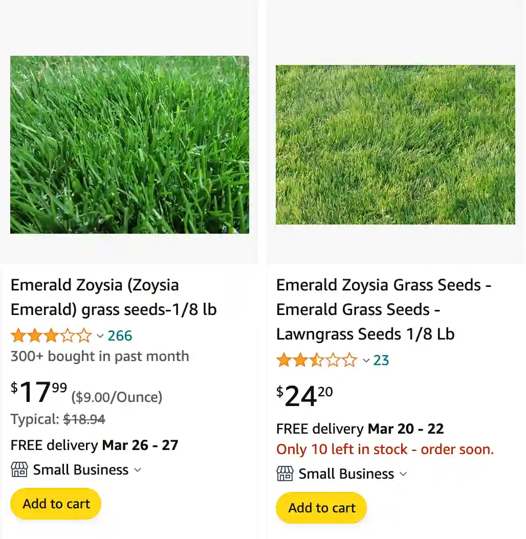 Emerald Zoysia | Monsteraholic