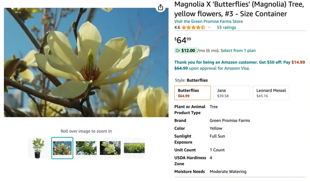 Magnolia Butterflies | Monsteraholic