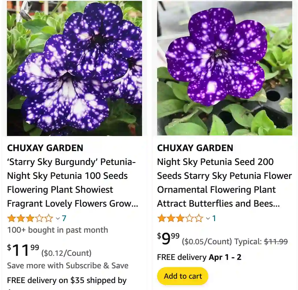 Night Sky Petunia | Monsteraholic