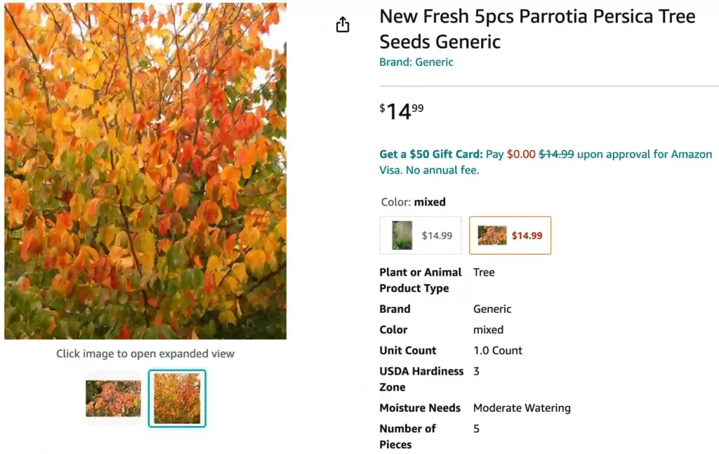 Parrotia Persica | Monsteraholic