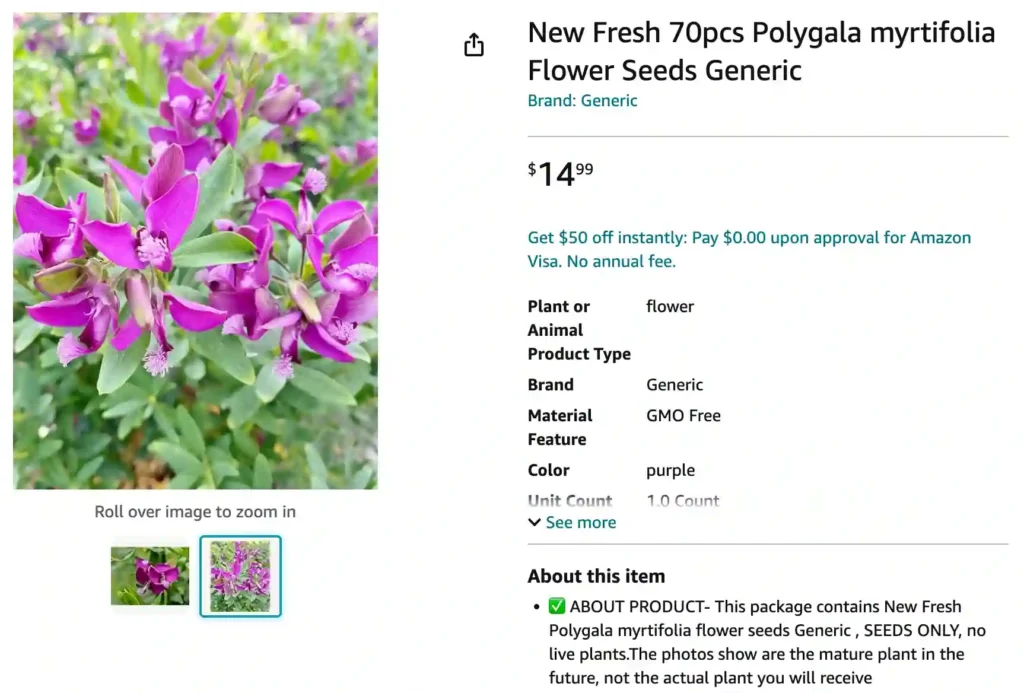 Polygala | Monsteraholic