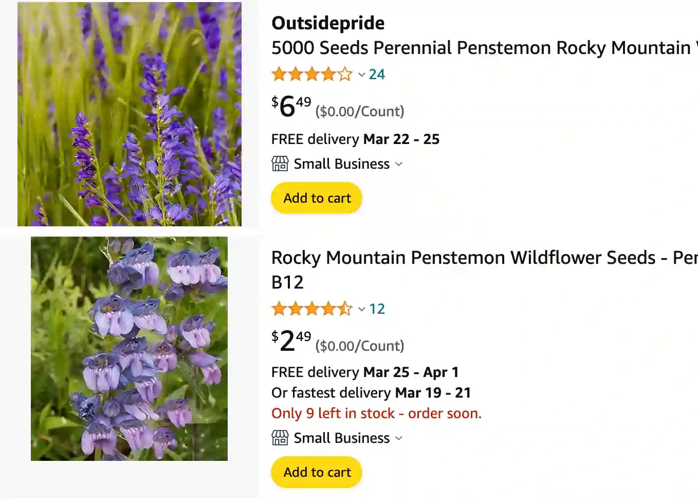 Rocky Mountain Penstemon | Monsteraholic