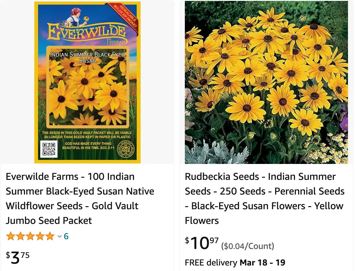 Rudbeckia Indian Summer | Monsteraholic