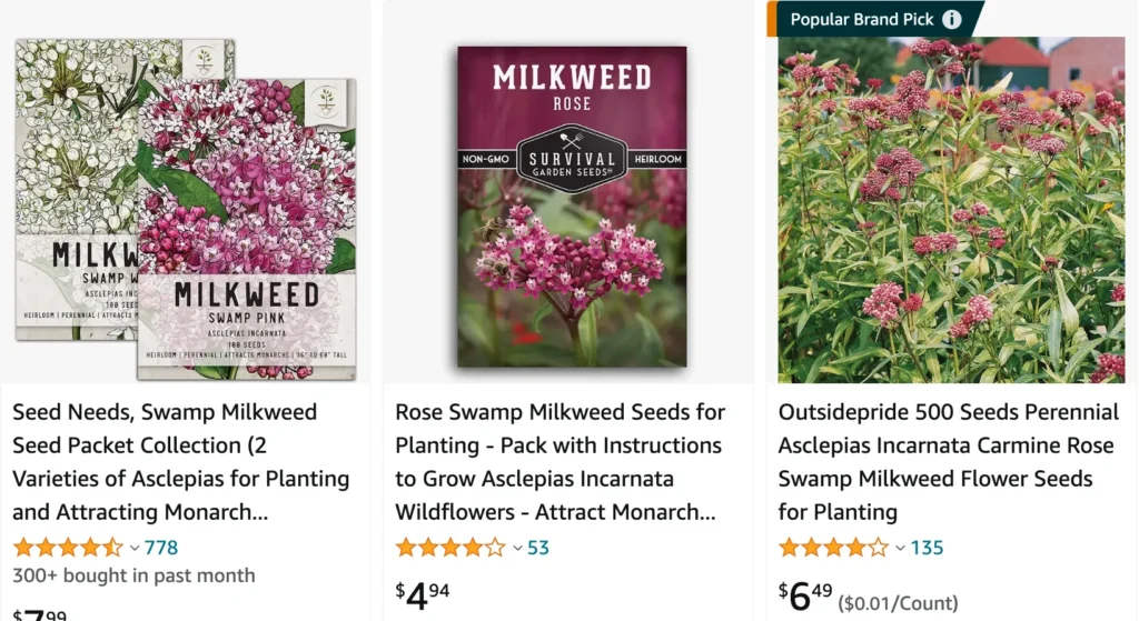 Swamp Milkweed