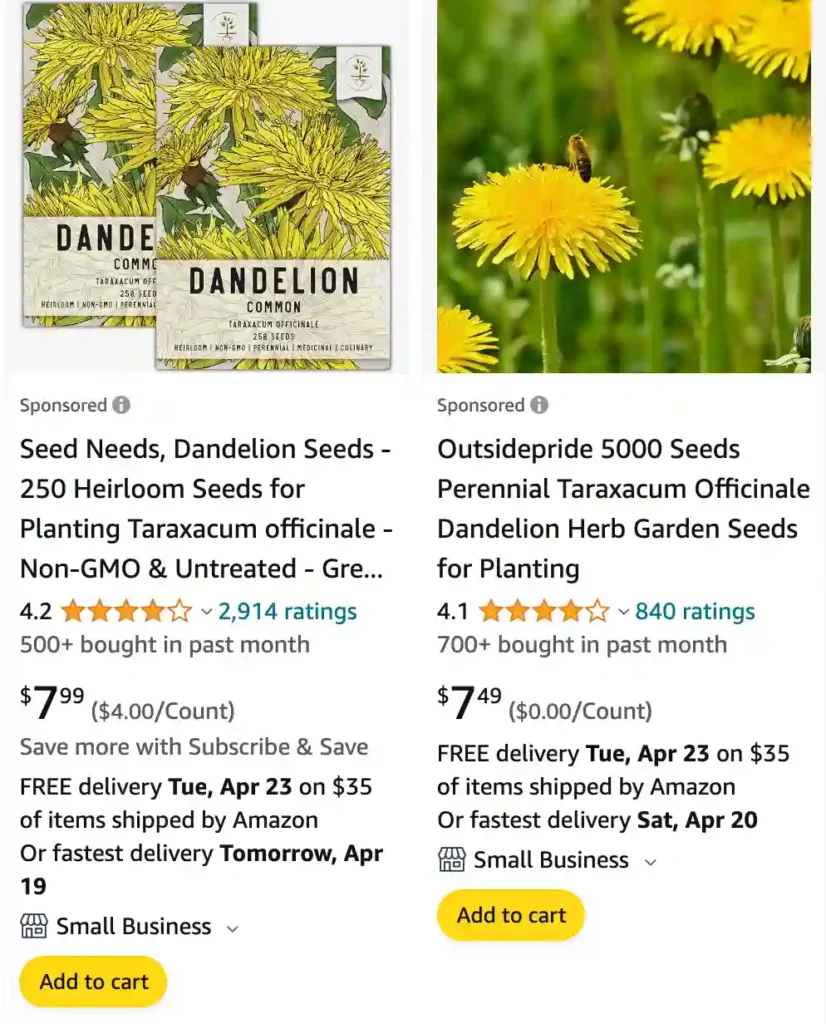 Dandelion | Monsteraholic