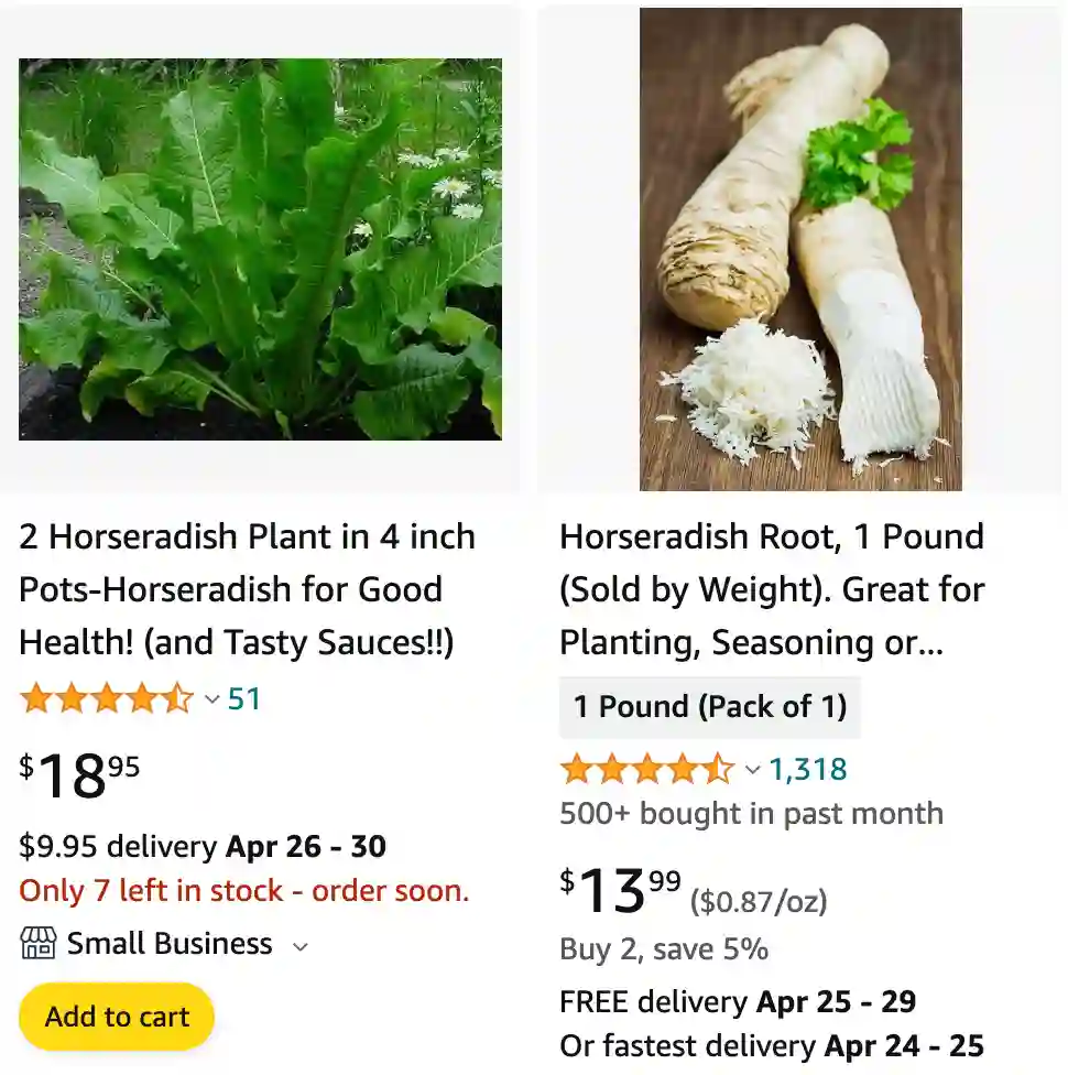 Horseradish