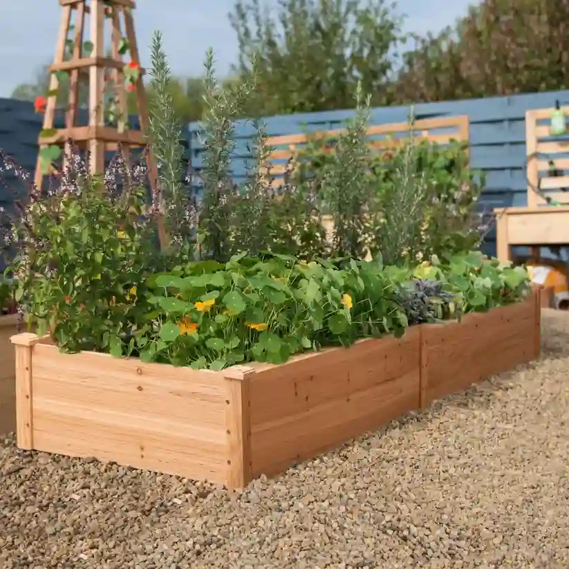 Raised Garden Bed