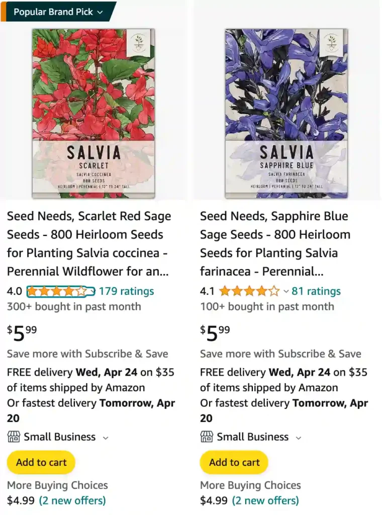 Salvia