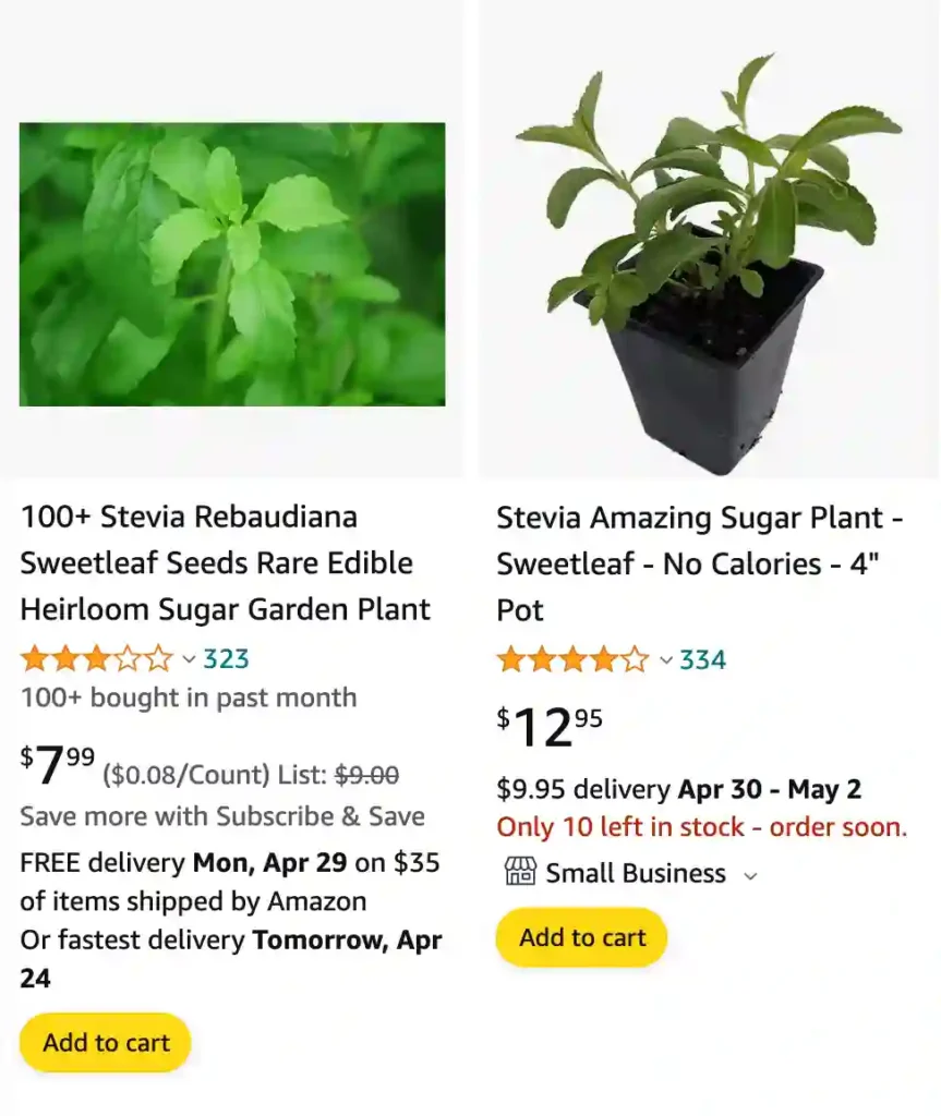 Stevia Plant | Monsteraholic