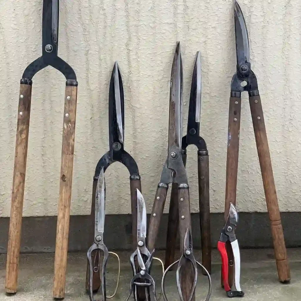 Pruning Shears