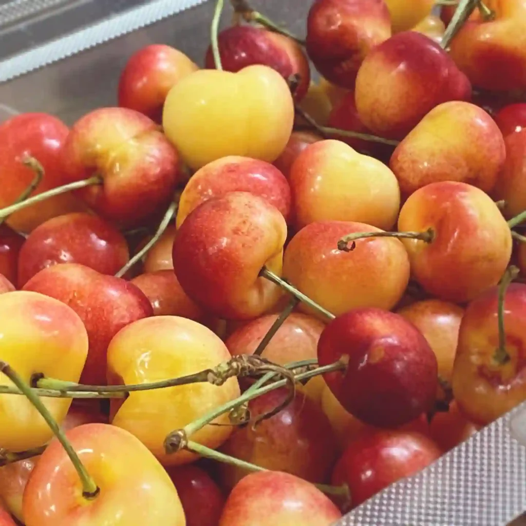 Rainier Cherries