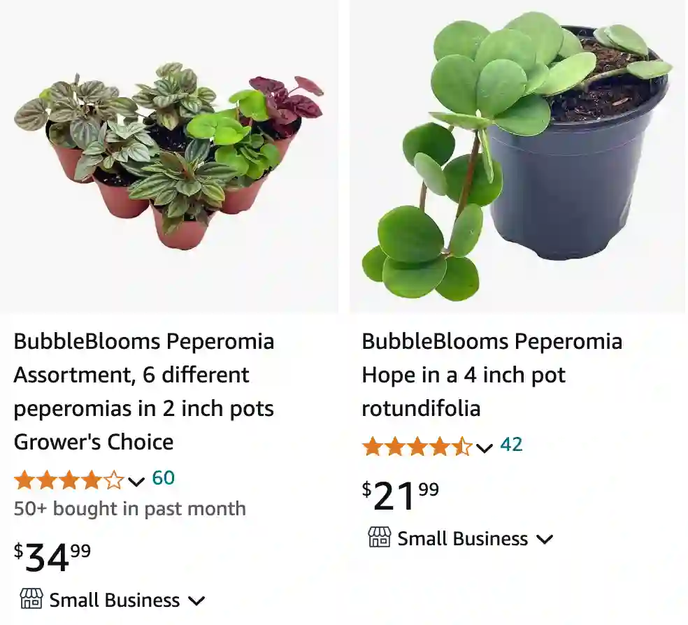 Peperomia | Monsteraholic