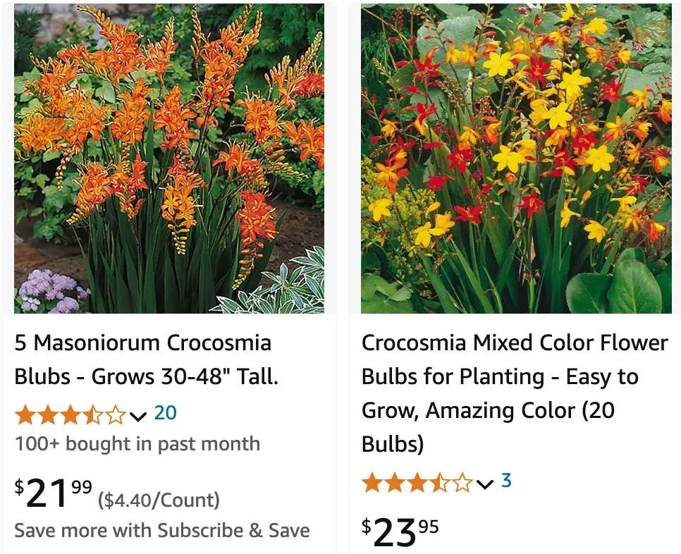 Crocosmia | Monsteraholic