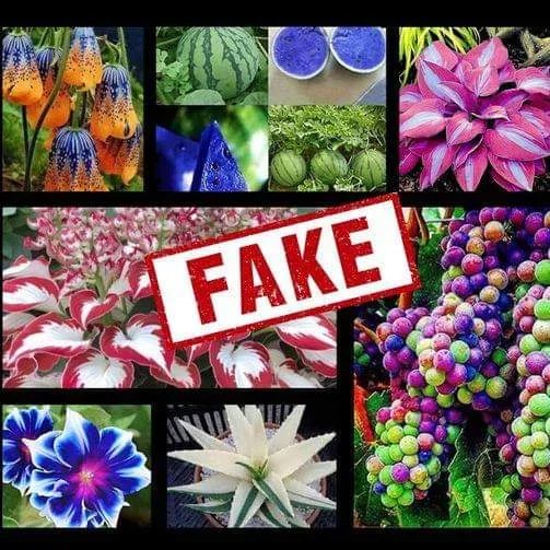 Fake Plant