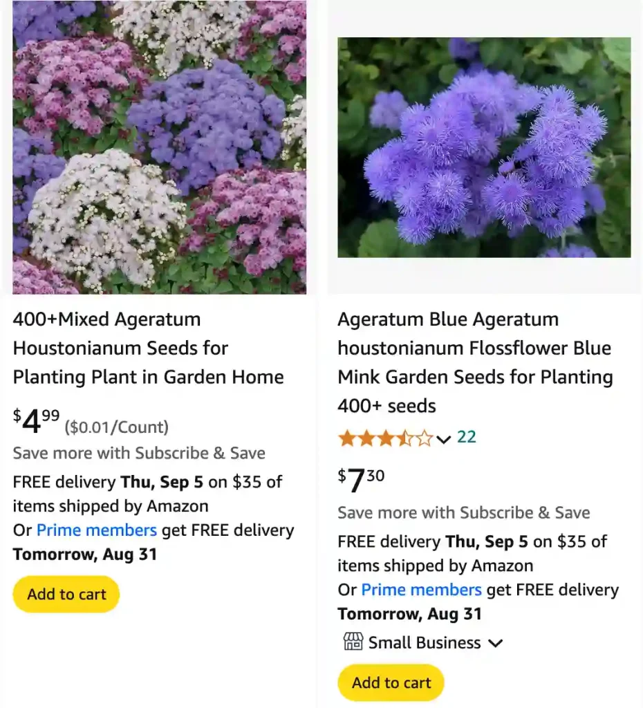 Ageratum Houstonianum | Monsteraholic