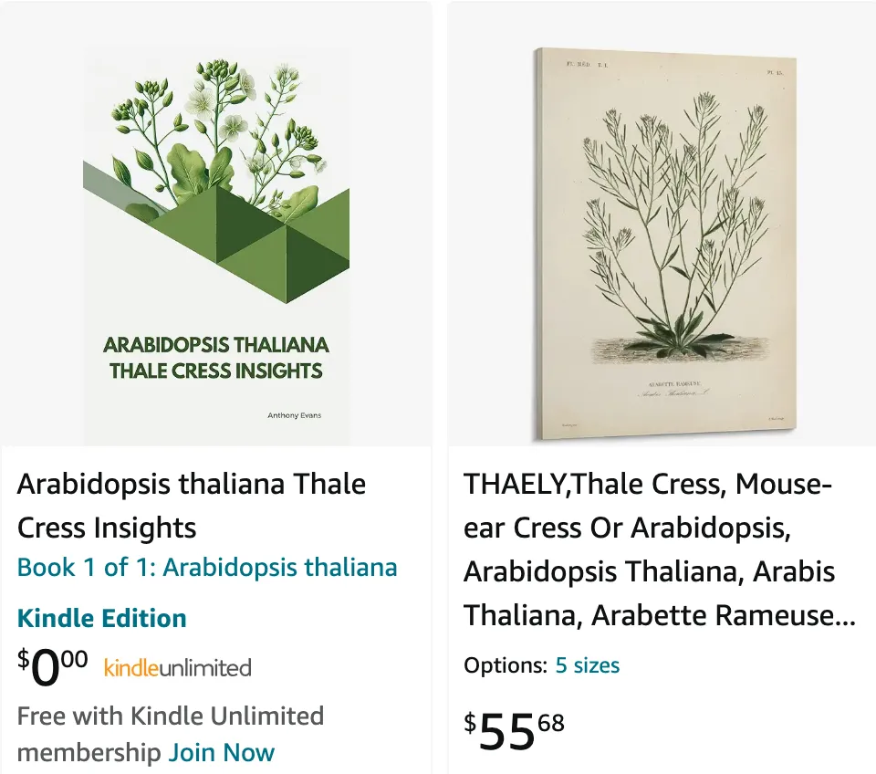 Arabidopsis Thaliana | Monsteraholic