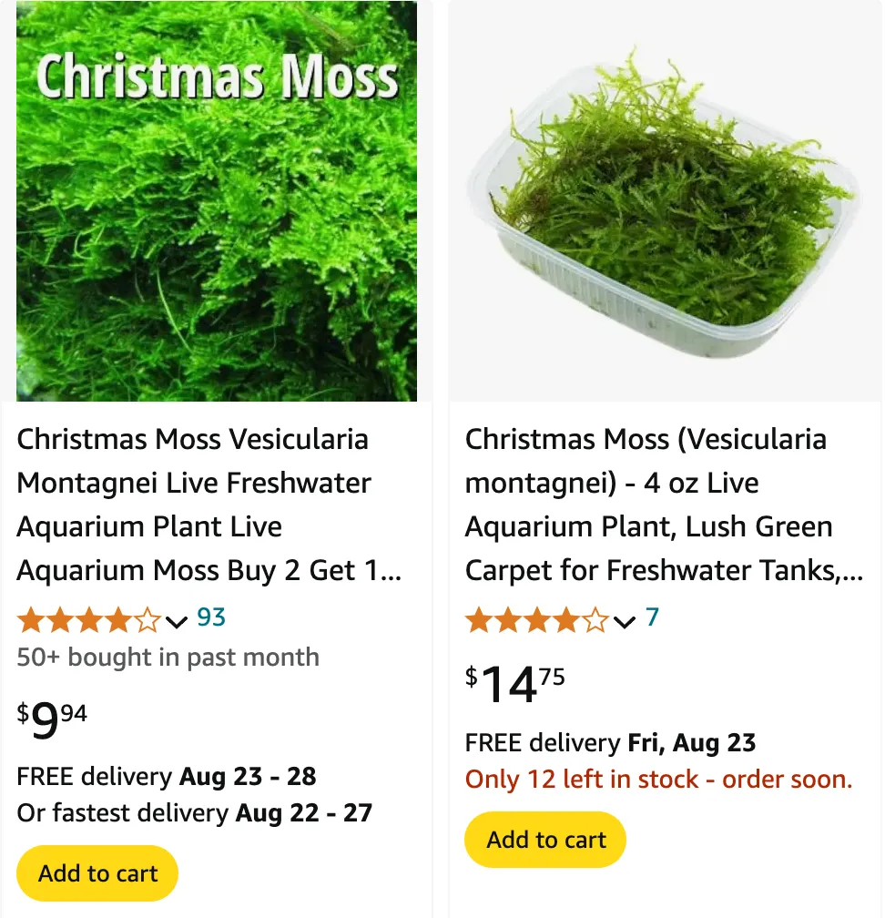 Christmas Moss | Monsteraholic