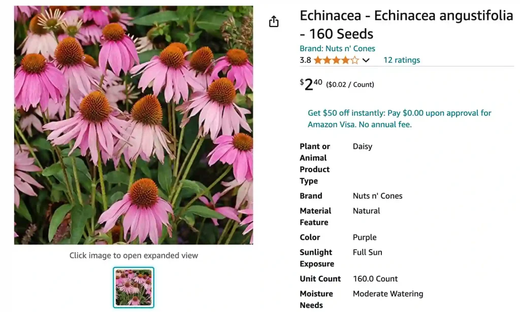 Echinacea Angustifolia | Monsteraholic