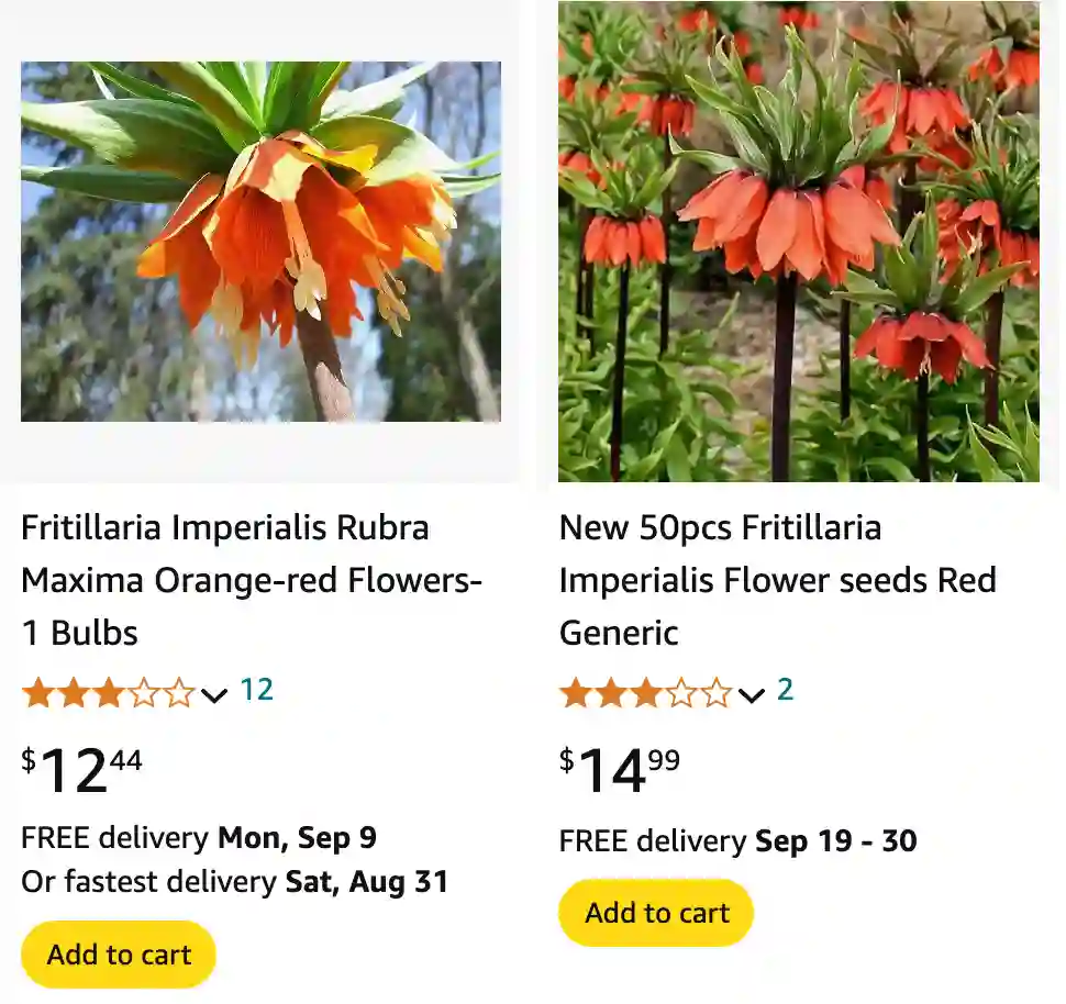 Fritillaria Imperialis | Monsteraholic