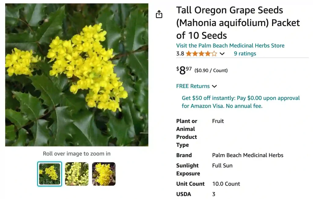 Mahonia Aquifolium | Monsteraholic