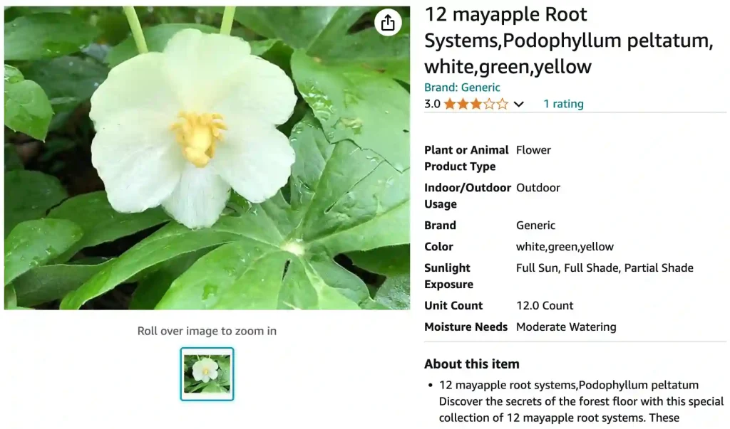 Mayapple | Monsteraholic