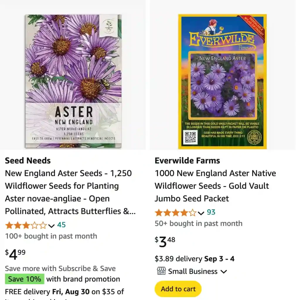 New England Aster | Monsteraholic