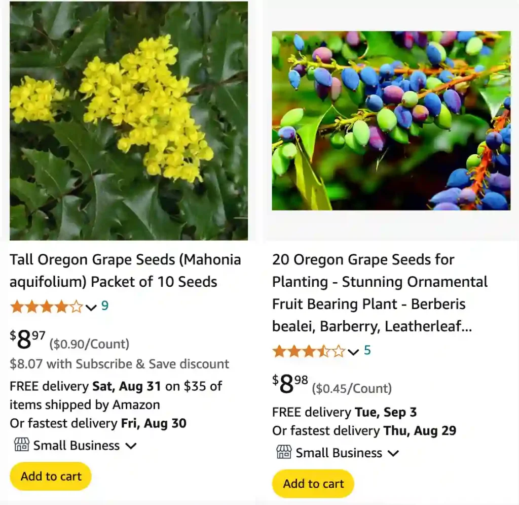 Oregon Grape | Monsteraholic