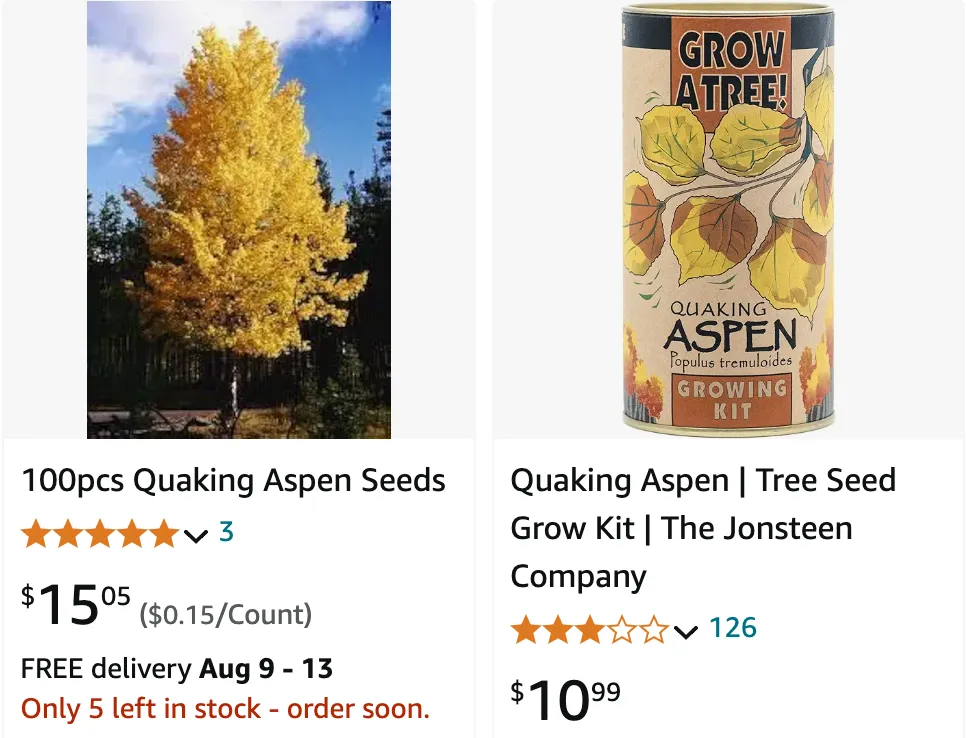 Quaking Aspen | Monsteraholic