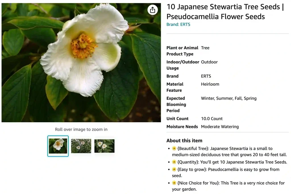 Stewartia Pseudocamellia | Monsteraholic