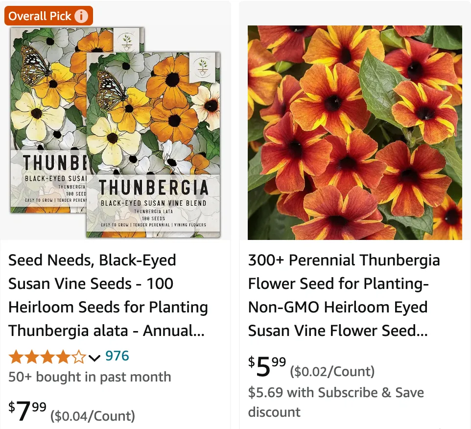 Thunbergia | Monsteraholic