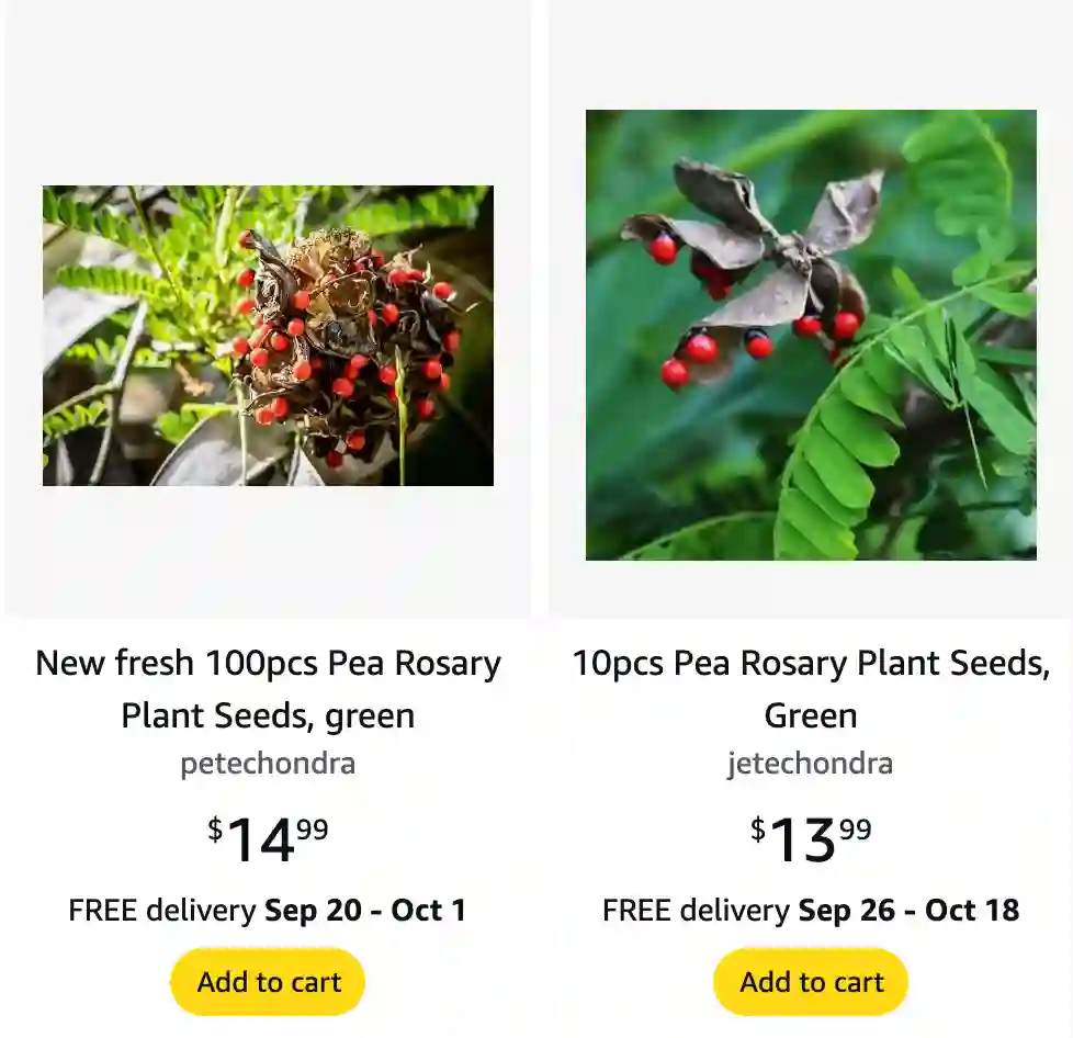 Plant FAQs: Abrus Precatorius - Rosary Pea - Jequirity Bean