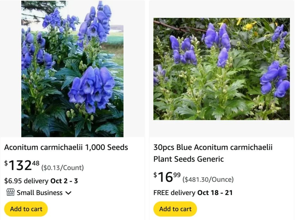 Aconitum Carmichaelii | Monsteraholic